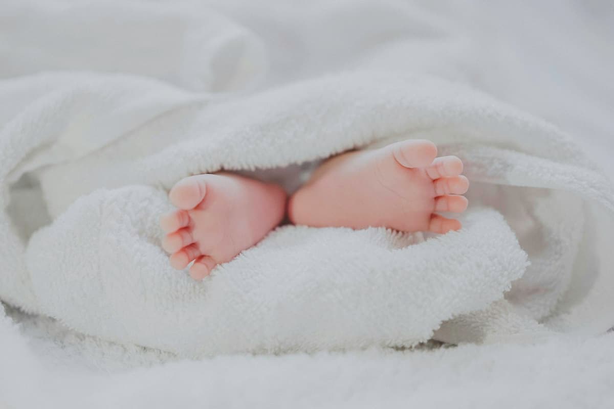 Newborn infant resting in a soft blanket